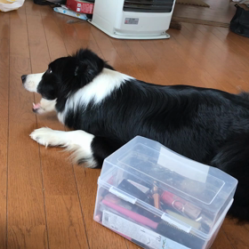 りんご好き！の画像