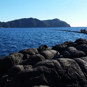 釣り納め❗の画像
