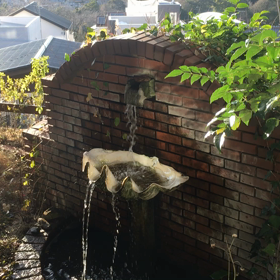 春の水の画像