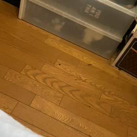 将来のなまり、の画像