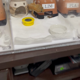 リュカ再びアプローチの画像