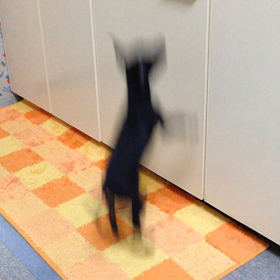 ジャンプで成長したなと感じるの画像