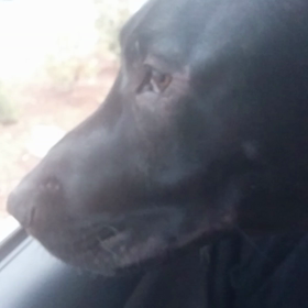 かなり怒っていますの画像