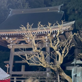 あけましておめでとうございますの画像