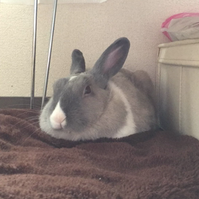 眠い眠いの画像