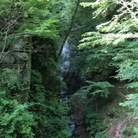 オルゴール動画 森高千里名曲「雨」♪&森林セラピーロード西沢渓谷の画像