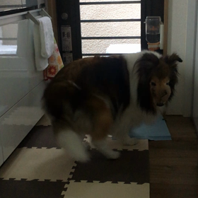 2017/7/22本日。の画像