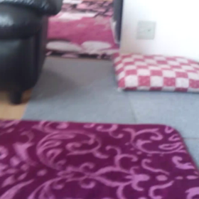 今日の楓の画像