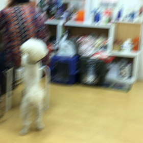 お客さ〜ん、凝ってますねぇ。の画像