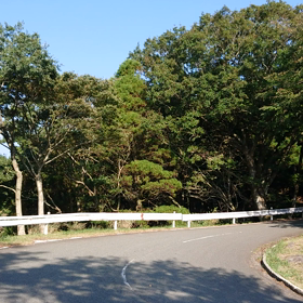 ためしに。。。の画像