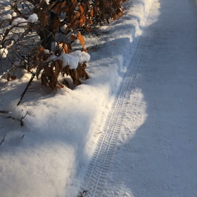 雪の音の画像