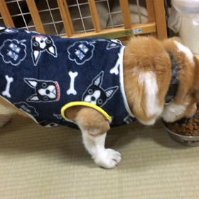 その時々にの画像