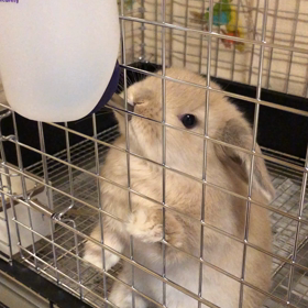 お水上手に飲めましたの画像