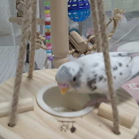 おやつタイムの画像