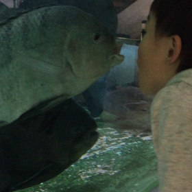 熱川バナナワニ園で見たミラーリングの心理学効果が凄かった！の画像