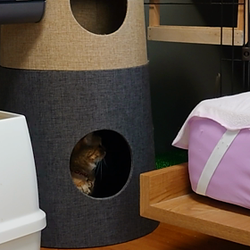 はるちゃんの悪巧みの画像