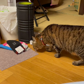 ゆきちゃん♀、ビックリ！の画像