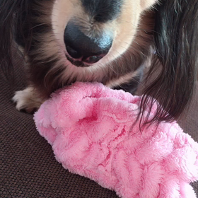 腹巻きめめちゃんの画像