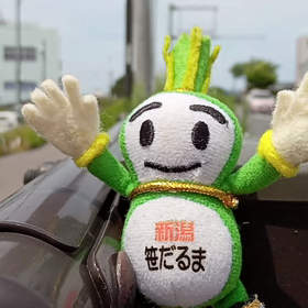 6/21の画像