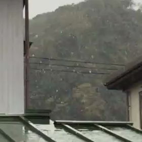 伊豆で雪！！の画像