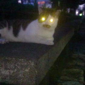 ちびっ子パァ〜ンチ✨の画像