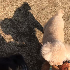 ♪お散歩動画♪代々木公園♪の画像