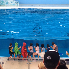 八景島シーパラダイスの画像