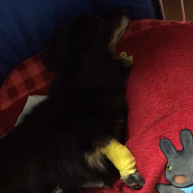 そらちんの画像