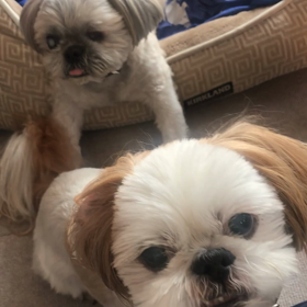 梨大好きの画像