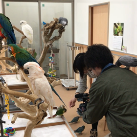 テレビ取材の画像