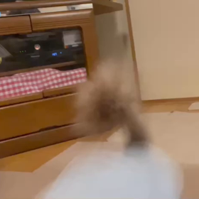 ☆わーい わーい☆の画像