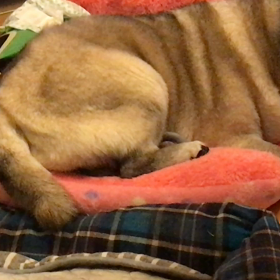 まんざらでもない…の画像