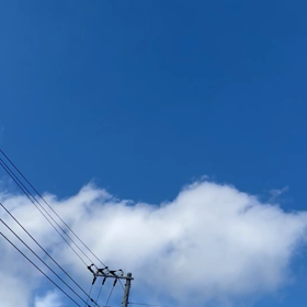 こんなに朝天気なのにの画像