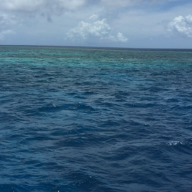 いざ八重千瀬への画像