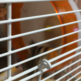 回らない…の画像