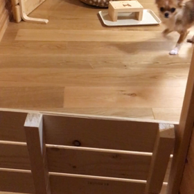 食いしん坊の画像