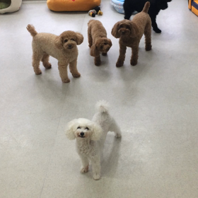 ♪プレイルーム動画♪の画像