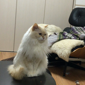 何も考えてないと思うんだけどの画像