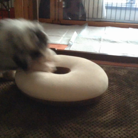 Dig dig  U・x・Uの画像