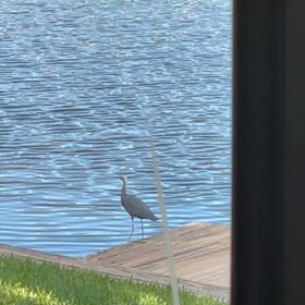 うちの、ですから。の画像