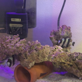 休日の朝思いついたことを書いてみたブログの画像