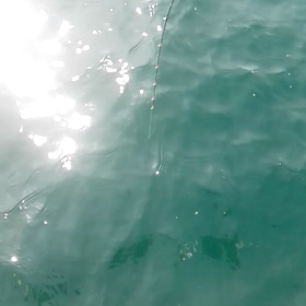 間違え(動画)の画像