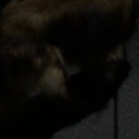 やっぱり不調の画像