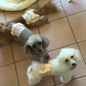 まったり 昼下がりの保育園の画像