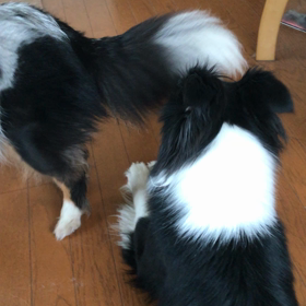 １日雨みたいだからの画像