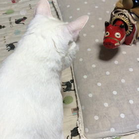 らいととあかべこ。の画像