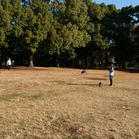 ジャベリック⑨の画像