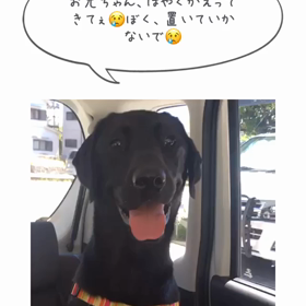 はやくかえってきてね♡の画像