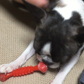 ももさんの画像