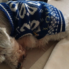 そういえば…の画像